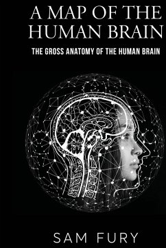 A Map of the Human Brain - Fury, Sam