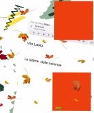 Le lettere delle scimmie (eBook, ePUB)