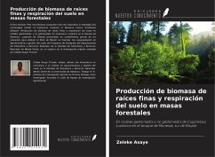 Producción de biomasa de raíces finas y respiración del suelo en masas forestales - Asaye, Zeleke