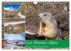 Les Hautes-Alpes sur les chemins des marmottes (Calendrier mural 2025 DIN A4 vertical), CALVENDO calendrier mensuel