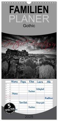 Familienplaner 2025 - Gothic Fantasy mit 5 Spalten (Wandkalender, 21 x 45 cm) CALVENDO