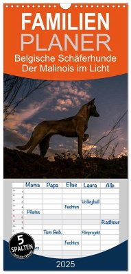 Familienplaner 2025 - Belgische Schäferhunde - Der Malinois im Licht mit 5 Spalten (Wandkalender, 21 x 45 cm) CALVENDO