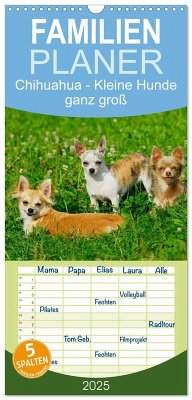 Familienplaner 2025 - Chihuahua - Kleine Hunde ganz groß mit 5 Spalten (Wandkalender, 21 x 45 cm) CALVENDO