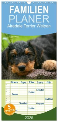 Familienplaner 2025 - Airedale Terrier Welpen mit 5 Spalten (Wandkalender, 21 x 45 cm) CALVENDO