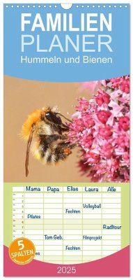 Familienplaner 2025 - Hummeln und Bienen mit 5 Spalten (Wandkalender, 21 x 45 cm) CALVENDO
