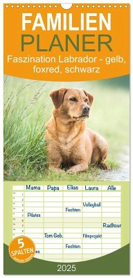 Familienplaner 2025 - Faszination Labrador - gelb, foxred, schwarz mit 5 Spalten (Wandkalender, 21 x 45 cm) CALVENDO - Calvendo;Strunz, Cornelia