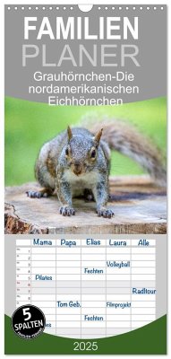 Familienplaner 2025 - Grauhörnchen-Die nordamerikanischen Eichhörnchen mit 5 Spalten (Wandkalender, 21 x 45 cm) CALVENDO