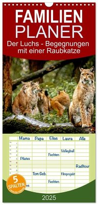 Familienplaner 2025 - Der Luchs - Begegnungen mit einer Raubkatze mit 5 Spalten (Wandkalender, 21 x 45 cm) CALVENDO