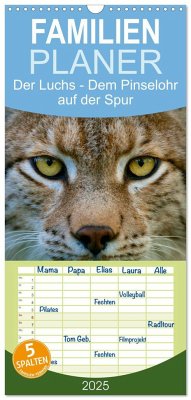 Familienplaner 2025 - Der Luchs - Dem Pinselohr auf der Spur mit 5 Spalten (Wandkalender, 21 x 45 cm) CALVENDO - Calvendo;Rosengarten, Stefan