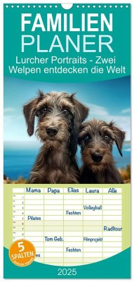 Familienplaner 2025 - Lurcher Portraits - Zwei Welpen entdecken die Welt mit 5 Spalten (Wandkalender, 21 x 45 cm) CALVENDO