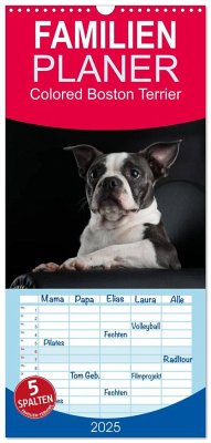 Familienplaner 2025 - Colored Boston Terrier 2025 mit 5 Spalten (Wandkalender, 21 x 45 cm) CALVENDO - Calvendo;Kassat Fotografie, Nicola