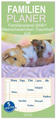 Familienplaner 2025 - Familienplaner BABY Meerschweinchen Traumhaft süß mit 5 Spalten (Wandkalender, 21 x 45 cm) CALVENDO