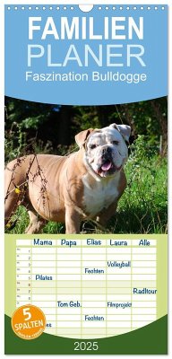 Familienplaner 2025 - Faszination Bulldogge mit 5 Spalten (Wandkalender, 21 x 45 cm) CALVENDO - Calvendo;Stanzer, Elisabeth