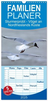 Familienplaner 2025 - Sturmerprobt - Vögel an Nordfrieslands Küste mit 5 Spalten (Wandkalender, 21 x 45 cm) CALVENDO