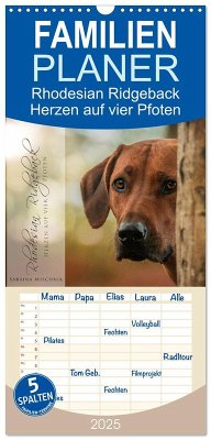 Familienplaner 2025 - Rhodesian Ridgeback - Herzen auf vier Pfoten mit 5 Spalten (Wandkalender, 21 x 45 cm) CALVENDO - Calvendo;Mischnik, Sabrina