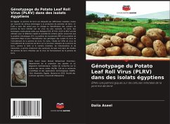 Génotypage du Potato Leaf Roll Virus (PLRV) dans des isolats égyptiens - Aseel, Dalia