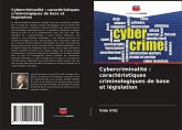 Cybercriminalité : caractéristiques criminologiques de base et législation