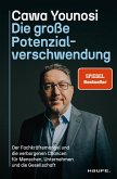 Die große Potenzialverschwendung (eBook, PDF)