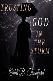 Trusting God In The Storm (eBook, ePUB)