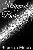 Stripped Bare (The Warnum Bailiff Series, #1) (eBook, ePUB)