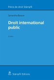 Droit international public (eBook, PDF)