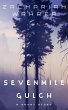 Sevenmile Gulch: A Short Story (eBook,... - Bild 1