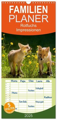 Familienplaner 2025 - Rotfuchs - Impressionen mit 5 Spalten (Wandkalender, 21 x 45 cm) CALVENDO