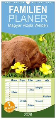 Familienplaner 2025 - Magyar Vizsla Welpen mit 5 Spalten (Wandkalender, 21 x 45 cm) CALVENDO