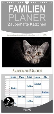 Familienplaner 2025 - Zauberhafte Kätzchen mit 5 Spalten (Wandkalender, 21 x 45 cm) CALVENDO