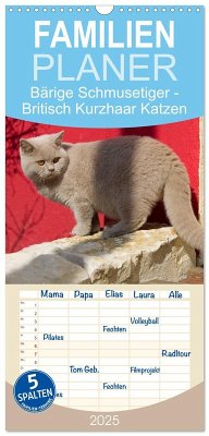 Familienplaner 2025 - Bärige Schmusetiger - Britisch Kurzhaar Katzen mit 5 Spalten (Wandkalender, 21 x 45 cm) CALVENDO - Calvendo;Verena Scholze, Fotodesign