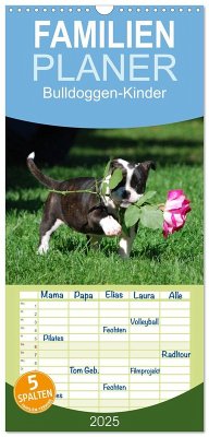 Familienplaner 2025 - Bulldoggen-Kinder mit 5 Spalten (Wandkalender, 21 x 45 cm) CALVENDO