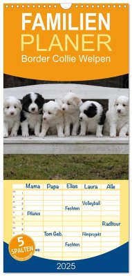 Familienplaner 2025 - Border Collie Welpen mit 5 Spalten (Wandkalender, 21 x 45 cm) CALVENDO