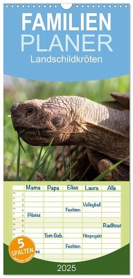 Familienplaner 2025 - Landschildkröten mit 5 Spalten (Wandkalender, 21 x 45 cm) CALVENDO