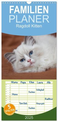 Familienplaner 2025 - Ragdoll Kitten mit 5 Spalten (Wandkalender, 21 x 45 cm) CALVENDO