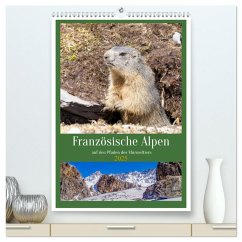 Französische Alpen, auf den Pfaden des Murmeltiers (hochwertiger Premium Wandkalender 2025 DIN A2 hoch), Kunstdruck in Hochglanz