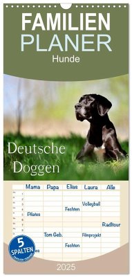 Familienplaner 2025 - Deutsche Doggen / Geburtstagskalender mit 5 Spalten (Wandkalender, 21 x 45 cm) CALVENDO