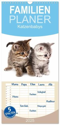 Familienplaner 2025 - Katzenbabys mit 5 Spalten (Wandkalender, 21 x 45 cm) CALVENDO