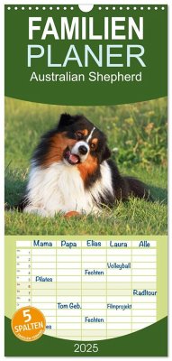 Familienplaner 2025 - Australian Shepherd - Hütehunde mit Familienanschluss mit 5 Spalten (Wandkalender, 21 x 45 cm) CALVENDO - Calvendo;Mielewczyk, Barbara