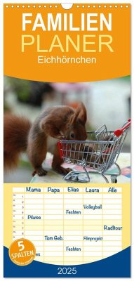 Familienplaner 2025 - Spaß mit Eichhörnchen! mit 5 Spalten (Wandkalender, 21 x 45 cm) CALVENDO