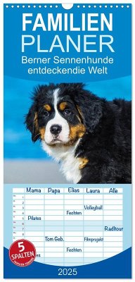 Familienplaner 2025 - Seebärchen entdecken die Welt - Berner Sennenhunde mit 5 Spalten (Wandkalender, 21 x 45 cm) CALVENDO