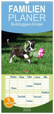 Familienplaner 2025 - Bulldoggen-Kinder mit 5 Spalten (Wandkalender, 21 x 45 cm) CALVENDO