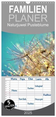 Familienplaner 2025 - Naturjuwel Pusteblume mit 5 Spalten (Wandkalender, 21 x 45 cm) CALVENDO