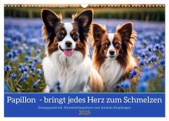 Papillon - bringt jedes Herz zum Schmelzen (Wandkalender 2025 DIN A3 quer), CALVENDO Monatskalender