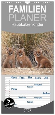 Familienplaner 2025 - Raubkatzenkinder mit 5 Spalten (Wandkalender, 21 x 45 cm) CALVENDO