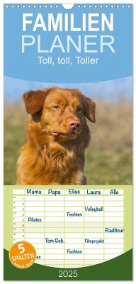 Familienplaner 2025 - Toll, toll, Toller mit 5 Spalten (Wandkalender, 21 x 45 cm) CALVENDO