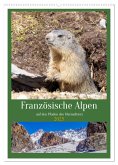 Französische Alpen, auf den Pfaden des Murmeltiers (Wandkalender 2025 DIN A2 hoch), CALVENDO Monatskalender