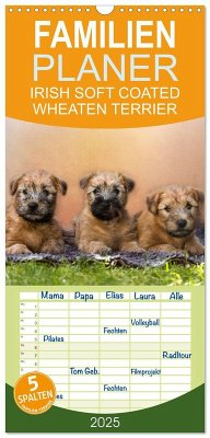 Familienplaner 2025 - IRISH SOFT COATED WHEATEN TERRIER mit 5 Spalten (Wandkalender, 21 x 45 cm) CALVENDO