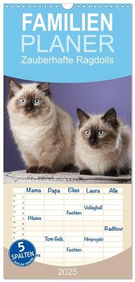 Familienplaner 2025 - Zauberhafte Ragdolls mit 5 Spalten (Wandkalender, 21 x 45 cm) CALVENDO