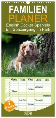 Familienplaner 2025 - English Cocker Spaniels - Ein Spaziergang im Park mit 5 Spalten (Wandkalender, 21 x 45 cm) CALVENDO - Calvendo;Verena Scholze, Fotodesign