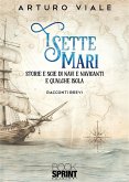 I sette mari (eBook, ePUB)
